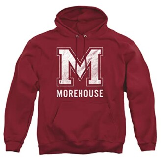 LOGOVISION Collegiate Distressed Logo Hoodie